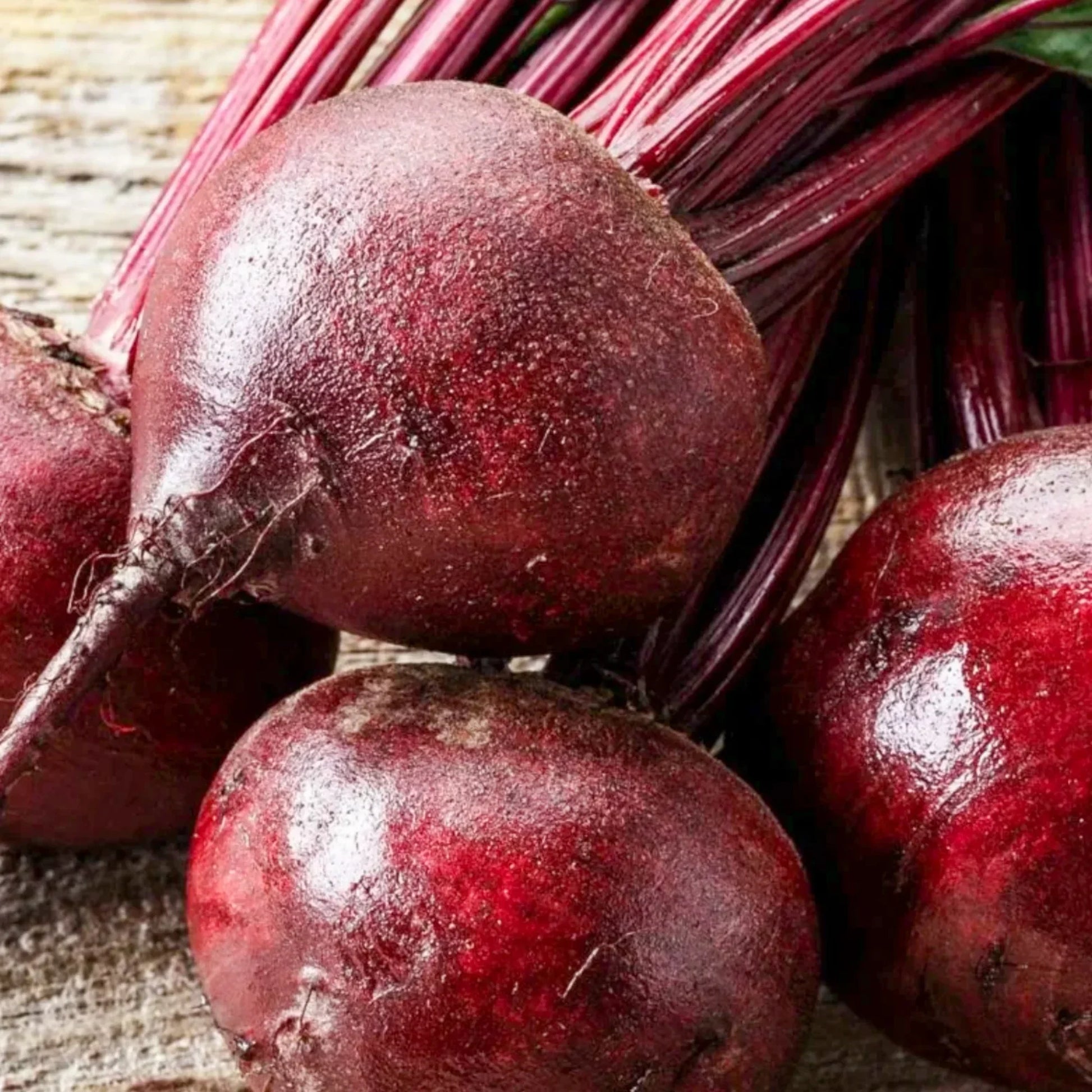 Red Beet Root Seeds for Planting - Healthy Vegetable - heirloom & Non GMO Seeds