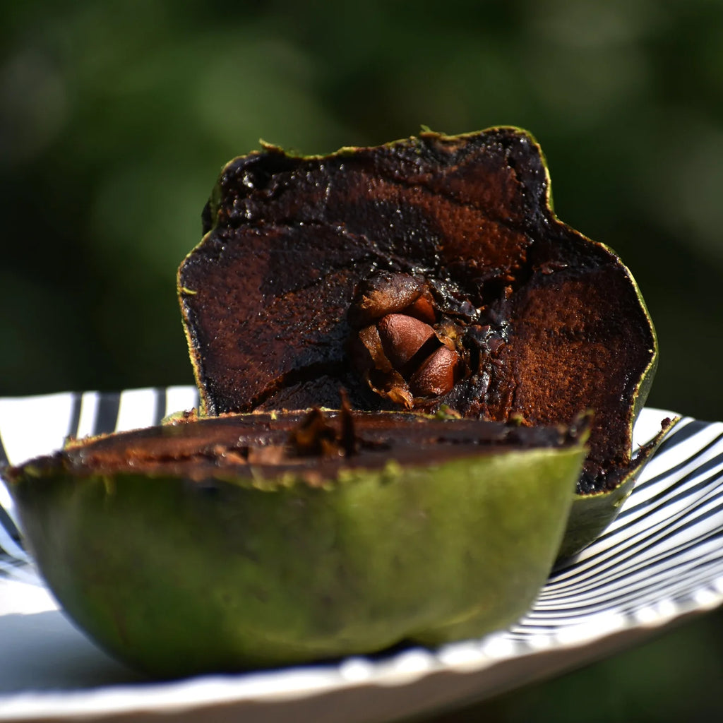 Black Sapote (Diospyros digyna) seeds for planting in home gardens.