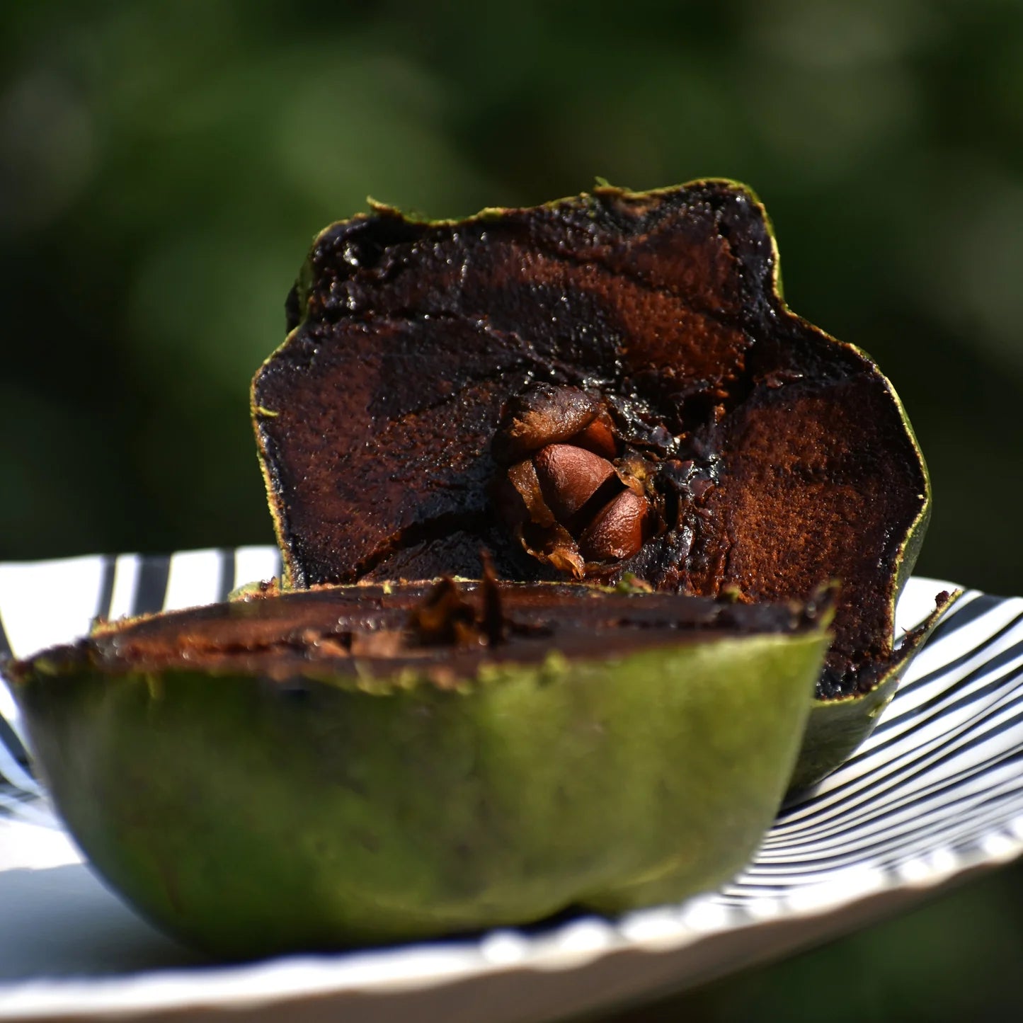 Black Sapote (Diospyros digyna) seeds for planting in home gardens.