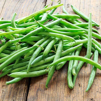 Blue Lake Bush Bean seeds for home garden planting