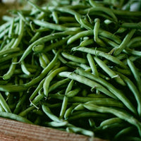 Blue Lake Bush Bean Seeds for Garden Beds, Raised Beds, Containers & Outdoor Growing