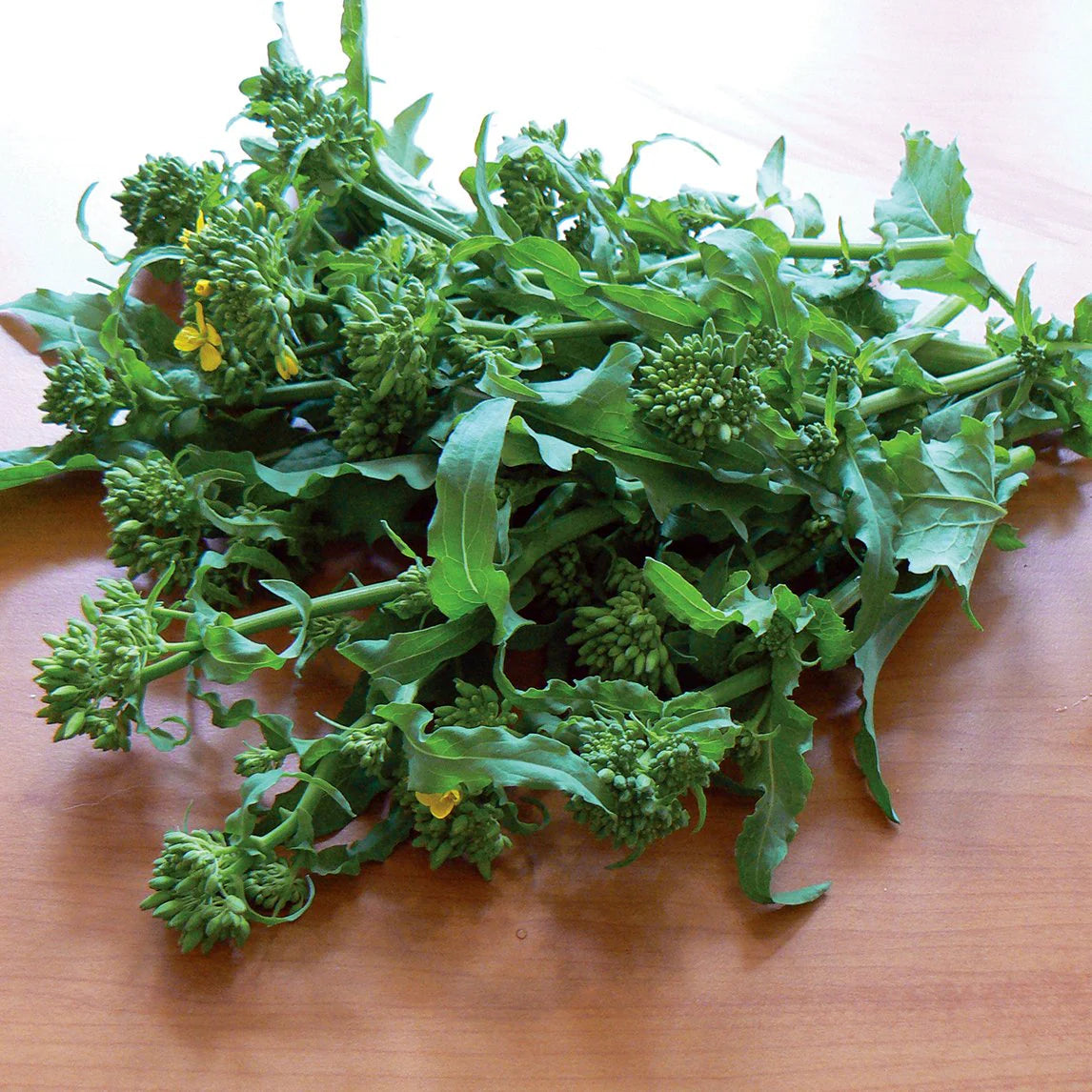 Broccoli Raab Seeds for Planting heirloom & Non-GMO Seeds