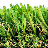 Majestic Buffalo Grass (Bouteloua dactyloides) - Premium Drought-Tolerant Lawn Seed for Lush, Low-Maintenance Turf
