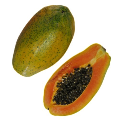 Calimosa papaya fruit seeds