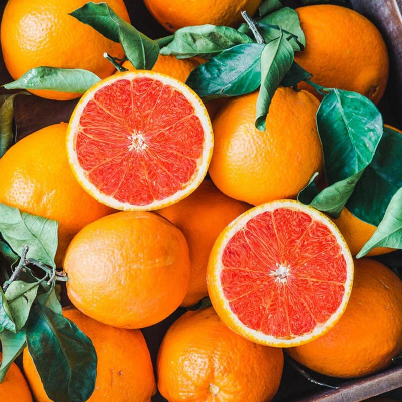 Cara Cara navel orange fruit seeds for planting