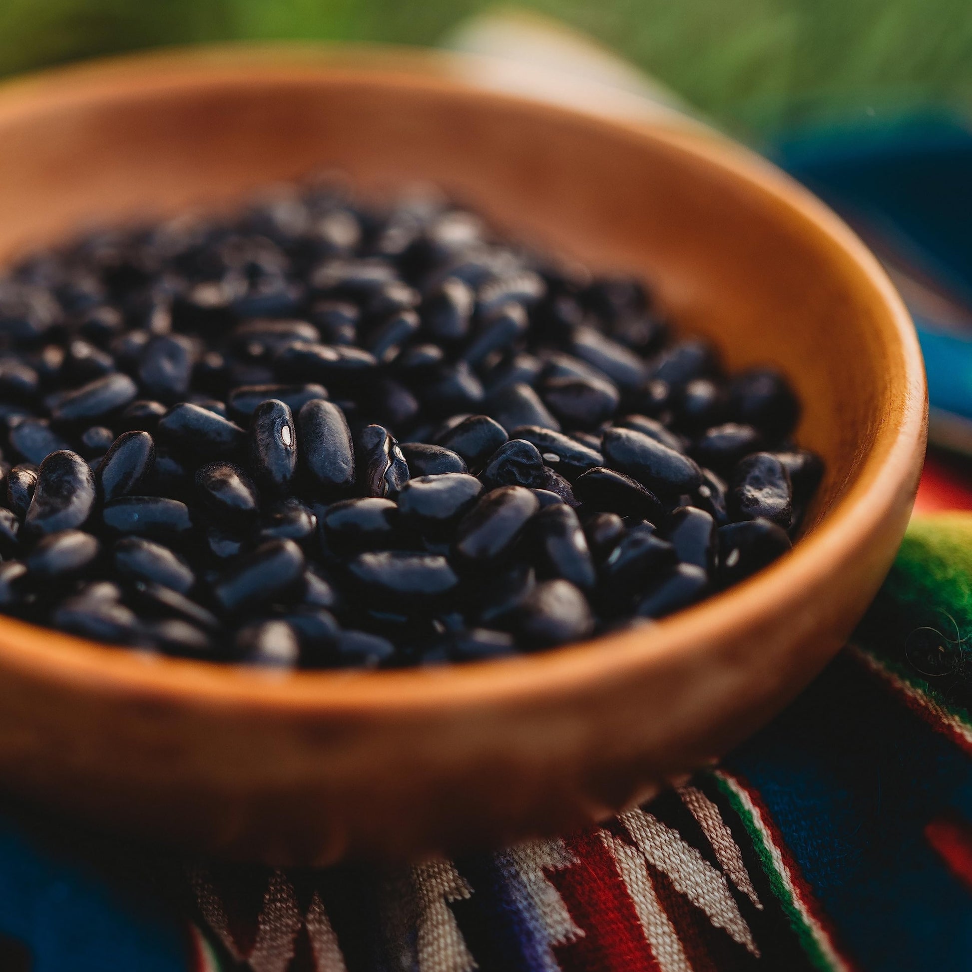 Cherokee Trail of Tears Bean heirloom seeds for home garden planting