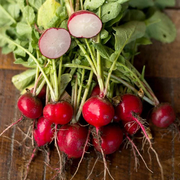 Cherry Belle Radish Seeds for Planting-Heirloom & Non-GMO Seeds for planting