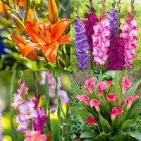 Mixed flowering bulbs blooming in a home garden landscape.