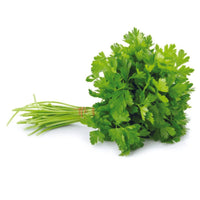 Organic Cilantro Herb Seeds for Planting - Heirloom, Non-GMO Garden Seeds Scientific Name Placeholder for planting in home garden