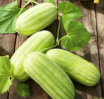 Heirloom Cucamelon seeds for home garden planting