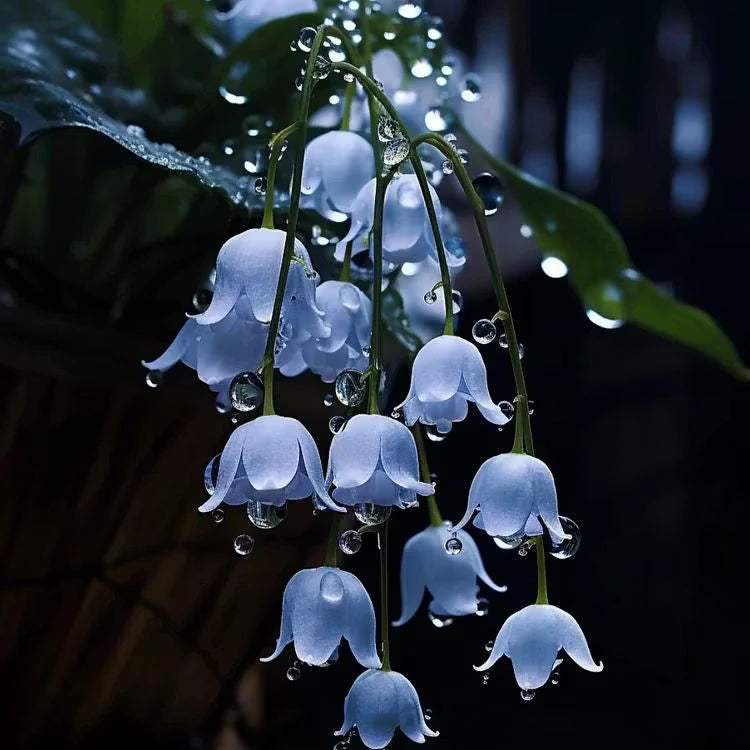 Convallaria Majalis Flower Seeds – Heirloom Non-GMO Seeds for Fragrant Shade Garden Planting