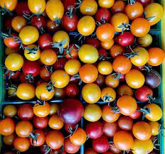 Heirloom Rainbow Cherry Tomato Seeds for Planting - Non-GMO Garden Seeds