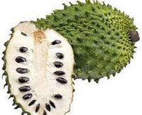 White pulp soursop fruit seeds for tropical planting