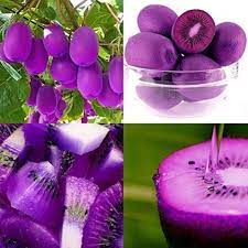 100 Pcs
