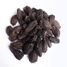 Black Cardamom Plant Seeds for Indoor or Outdoor Herb Gardens Scientific Name Placeholder for planting in home garden
