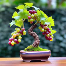 100 Pcs