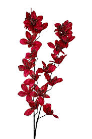 100 Pcs