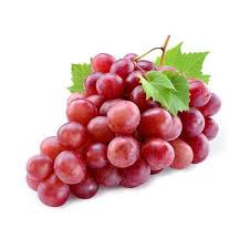 Red globe grape Vitis vinifera seeds for vineyard