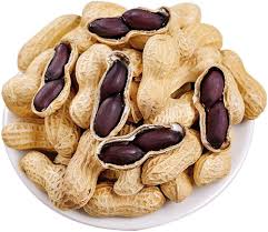 Black Peanut Arachis hypogaea for planting in vegetable garden