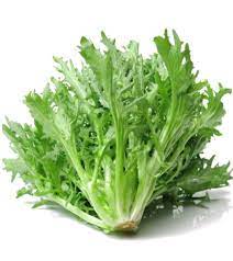 100 Pcs