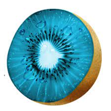 Sky Blue Kiwi Actinidia deliciosa seeds for planting in home garden