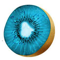 Sky Blue Kiwi Actinidia deliciosa seeds for planting in home garden