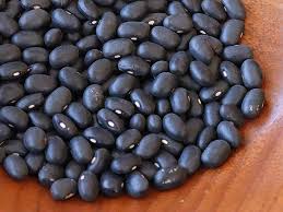Black Turtle Pole Bean Plant Seeds – Hardy and Protein-Rich Variety 100 Pcs pcs