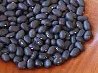 Black Turtle Pole Bean Plant Seeds – Hardy and Protein-Rich Variety 100 Pcs pcs