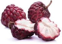 Red Custard Apple Tree Seeds for Planting - Cultivating Sweet, Creamy Fruit