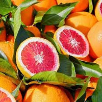 Blood Orange Fruit Seeds for Planting - Fast Growing Rich in Vitamin C Juicy GMO Free