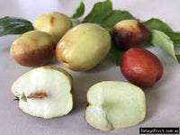 Silverhill Jujube Fruit Seeds for Planting - Growing Sweet Jujube Trees for Beautiful Home Garden, GMO Free Seeds