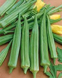 Cajun Delight Okra Seeds for Planting - Fresh Vegetable NON GMO Seeds