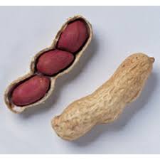 Valencia Peanuts Seeds for Planting, 100 Pcs pcs