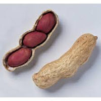 Valencia Peanuts Seeds for Planting, 100 Pcs pcs