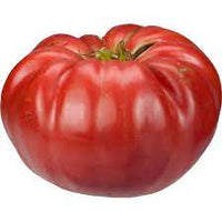 Light Red Gaint Tomato Seeds for Planting, 100 Pcs pcs