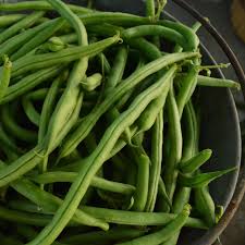 Jade Bean Phaseolus vulgaris seeds for garden planting