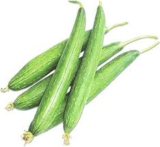 Sponge Gourd Luffa cylindrica seeds for home garden planting