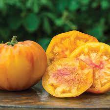 Gold Tomato Solanum lycopersicum seeds for garden planting