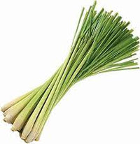 Lemongrass Seeds for Herb Gardens and Fresh Flavorful Growth Scientific Name Placeholder for planting in home garden