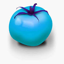 Sky Blue Tomato Solanum lycopersicum seeds for garden planting