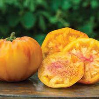 Gold Tomato Seeds for Planting heirloom & Non-GMO Seeds