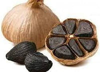 Black Garlic Allium sativum for planting in home garden