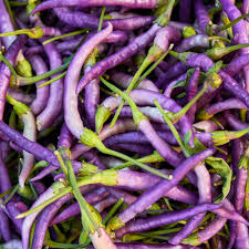 Buena Mulata Hot Pepper Seeds for Planting - 100 Pcs pcs