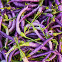 Buena Mulata Hot Pepper Seeds for Planting - 100 Pcs pcs