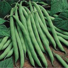 Heirloom Green Pole Bean Vegetable Seeds for Planting - 100 Pcs pcs