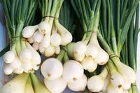 Green Spring Onions (Scallions) Vegetable Seeds for Planting - 100 Pcs pcs