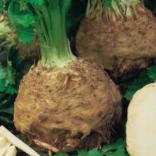 Brown Celeriac Apium graveolens seeds for garden planting
