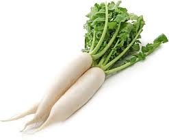 White Radish Raphanus sativus seeds for garden planting
