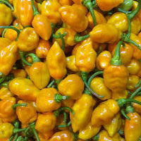 Datil Pepper Vegetable Seeds for Planting - 100 Pcs pcs