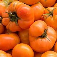Orange Giant Hybrid Tomato Vegetable Seeds for Planting – Heirloom and Non-GMO Garden Seeds